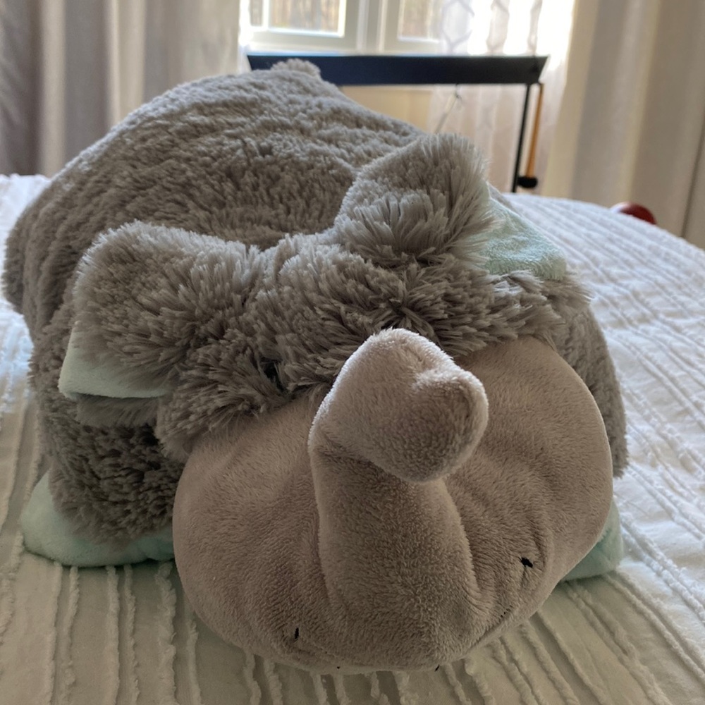 Pillow pet